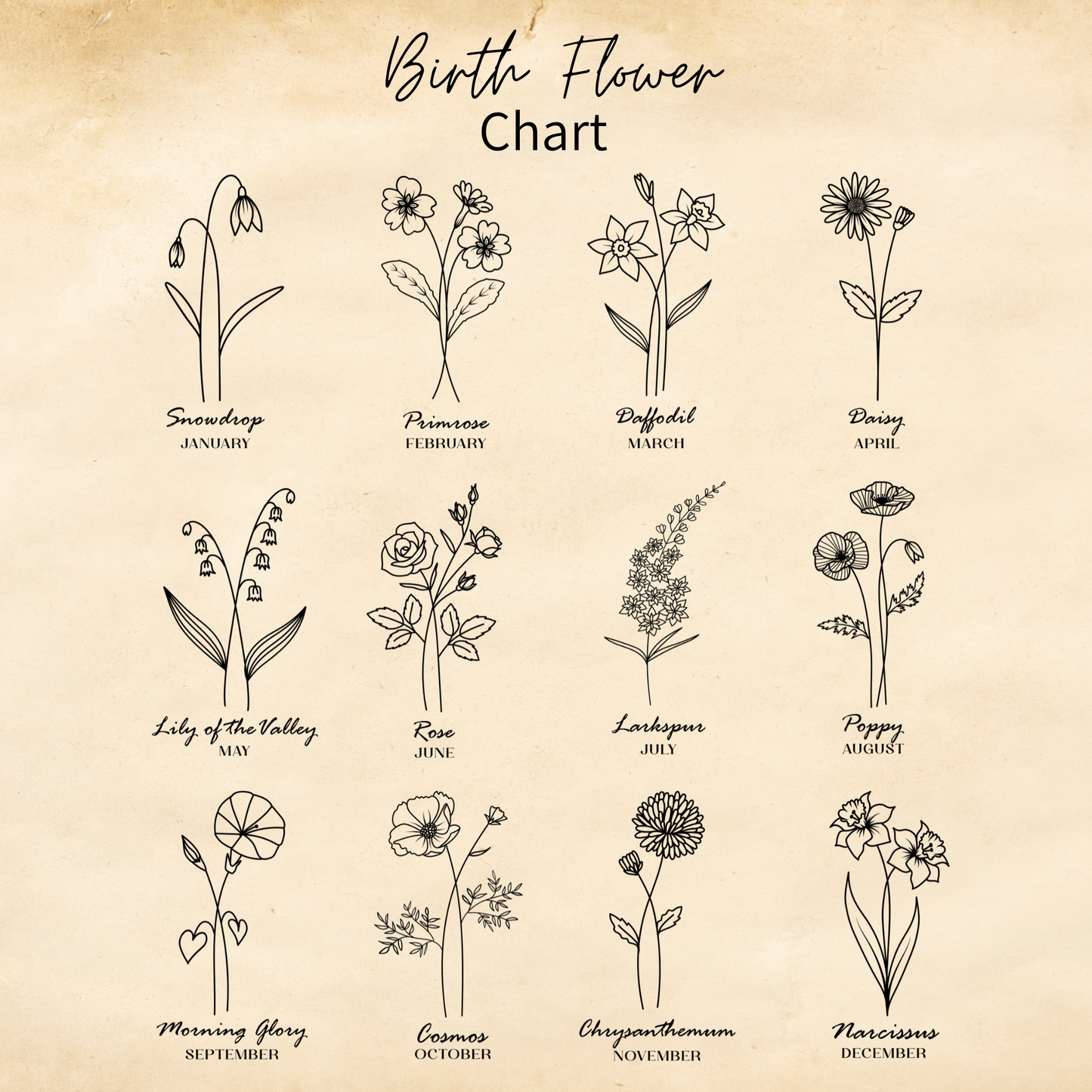 Custom Birth Month Flower T-Shirt