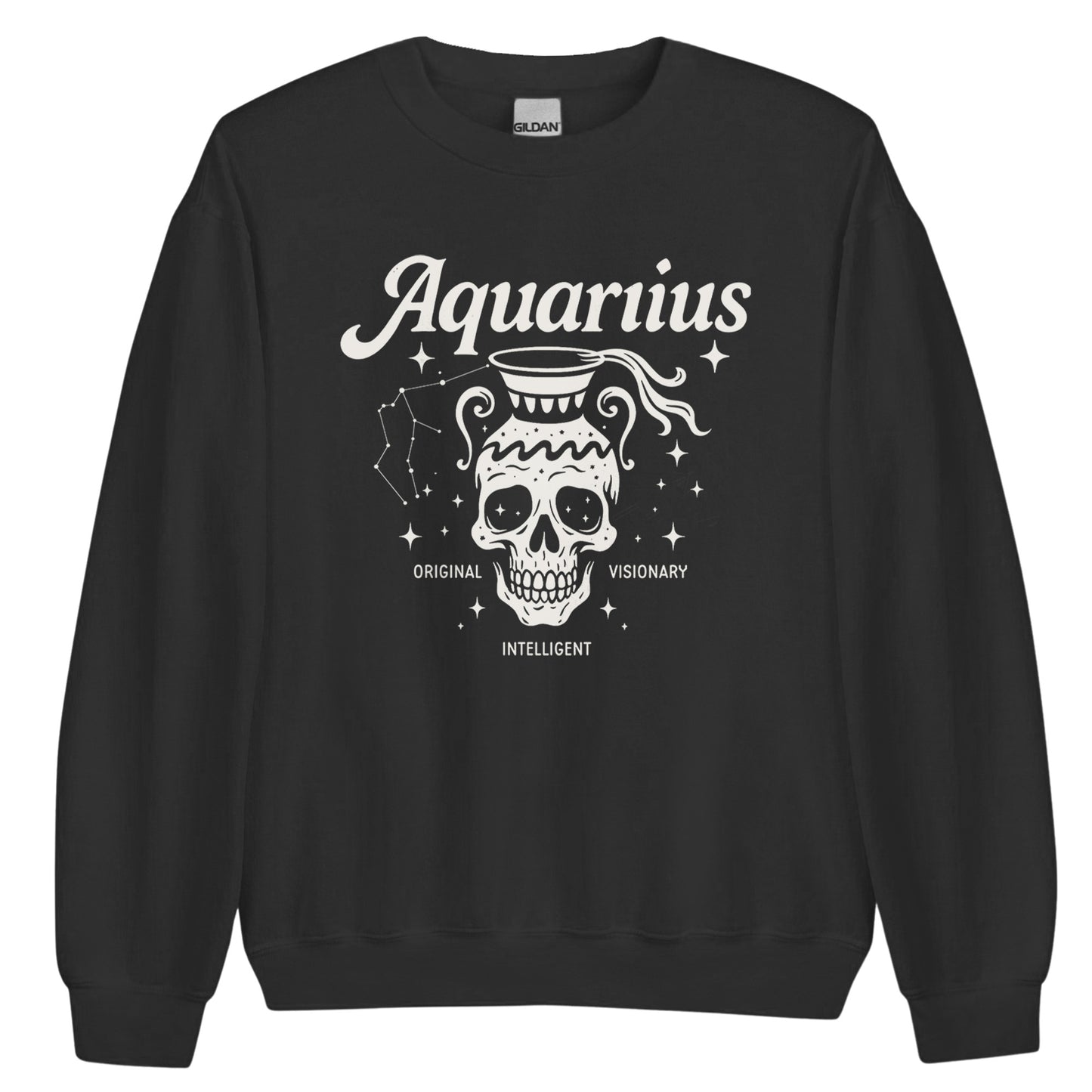 Aquarius Sweatshirt