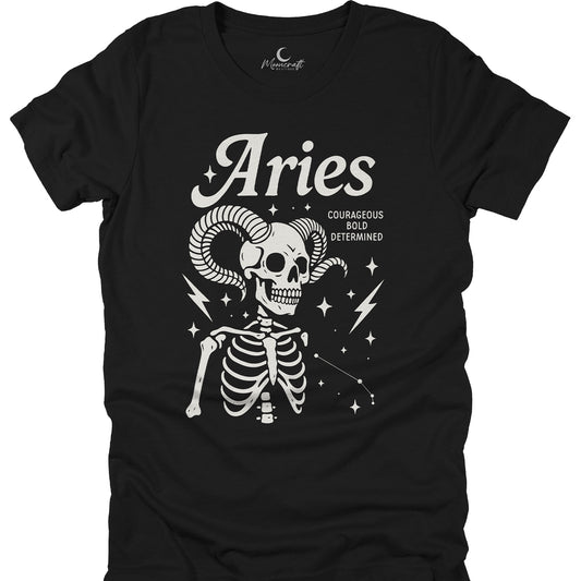 Aries T-Shirt